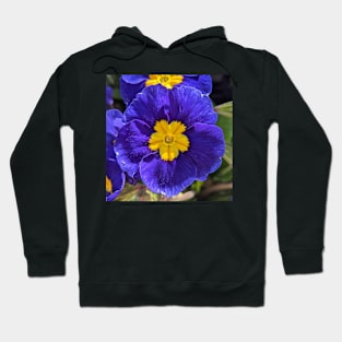 Bright Blue and Yellow Flowers Hoodie